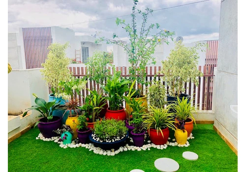 Terrace Garden Services Provider in Noida